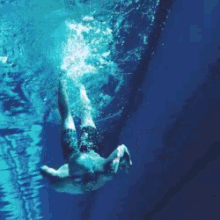 Swimming Do What We Love GIF