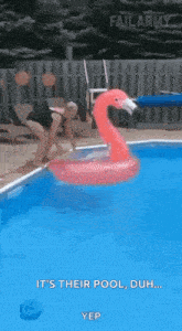 a flamingo float is floating in a swimming pool .