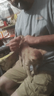 a man in a blue shirt is petting a cat in front of a sign that says o here