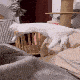 a white cat laying on a bed next to a cat tree that says king