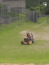 Dog Cutting The Grass GIF