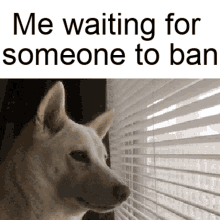 Waiting For Someone To Ban Waiting To Ban GIF - Waiting For Someone To Ban Waiting To Ban Banned GIFs