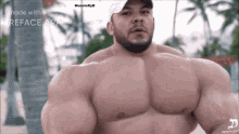 Muscle Beefcake GIF - Muscle Beefcake Bodybuilder GIFs