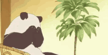 embarassed shy panda anime no