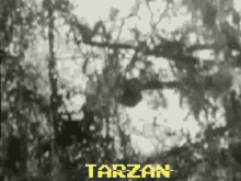 Tarzan Johnny Weismuller GIF - Tarzan Johnny Weismuller Tarzan Call GIFs