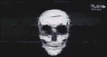 Skeleton Play GIF - Skeleton Play GIFs