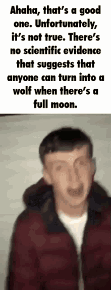 Cant Be Wolf At Full Moon GIF - Cant Be Wolf At Full Moon GIFs