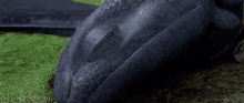 Toothless Awakens - How To Train Your Dragon GIF