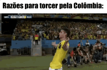 James Rodriguez / Colômbia / Copa Do Mundo  / Jogador Colombiano GIF - James Rodriguez Cute Soccer GIFs