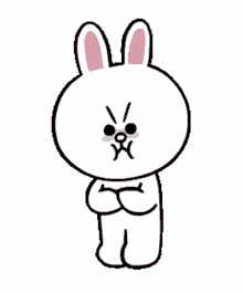 love anger cute mad rabbit