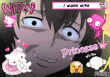 a picture of a man with the words i want wife princess above him