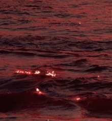 Red Sea GIF - Red Sea GIFs