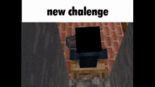 New Chalenge Minecraft GIF - New Chalenge Minecraft Atm 7 GIFs