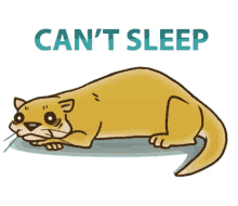 otter cant sleep wide awake insomnia
