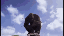 King Kong King Kong Vs Godzilla GIF