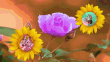 Jai Sh Krishna Flowers GIF - Jai Sh Krishna Flowers Sunflower GIFs