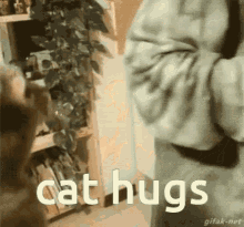 Kitty Hugging GIF - Kitty Hugging Hug GIFs