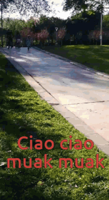 Ciao Chau GIF - Ciao Chau Bye Bye GIFs