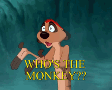 Timon Lion King GIF - Timon Lion King Whos The Monkey GIFs