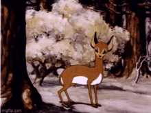 Looney Tunes Deer GIF - Looney Tunes Deer Pretty Girl GIFs