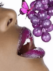 Lip Grapes GIF - Lip Grapes Butterfly GIFs