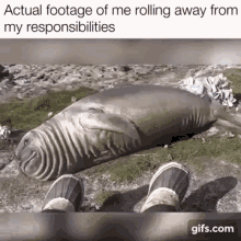Rolling Away Seal GIF - Rolling Away Seal Rolling From My Responsibilities GIFs