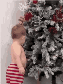 Christmas Tree Kid GIF