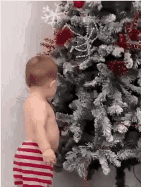 Christmas Tree Kid GIF - Christmas Tree Christmas Kid - Discover & Share  GIFs