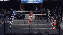 Josh Alexander GIF