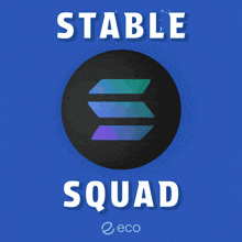 a blue ball with the words stable squad written on it
