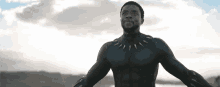 Marvel Black Panther GIF - Marvel Black Panther Tchalla GIFs