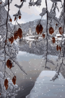 Beautiful Winter GIF - Beautiful Winter Good Morning GIFs