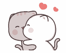 love couple kiss cat sweet