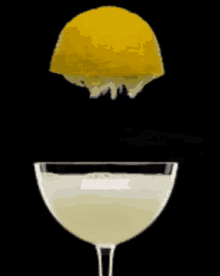 Martini Drink GIF - Martini Drink Lemon GIFs