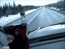moose slip fall falling running