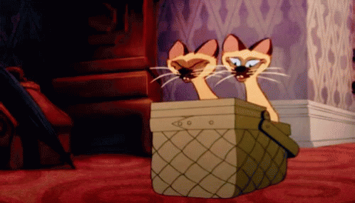 Siamese Cats GIF - Siamese Cats Disney - Discover & Share GIFs