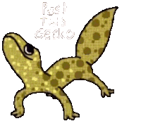 Gecko Funny Sticker - Gecko Funny Stickers