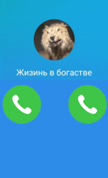 a phone screen with a picture of a lion and the words " жизнь в богатстве " on the bottom