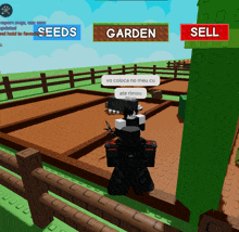 a screenshot of a video game with the words seeds and garden on the top