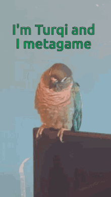 Turqi Metagame GIF - Turqi Metagame Metagamer GIFs
