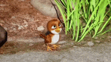 a cartoon bird with a yellow beak is standing on the ground in the grass .