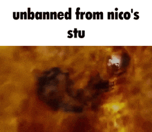 a picture of a fire with the words unbanned from nico 's stu on the bottom