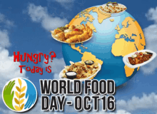 World Food Day October16 GIF - World Food Day October16 World Hunger GIFs