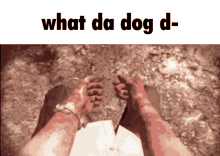 What Da Dog Doin GIF - What Da Dog Doin GIFs