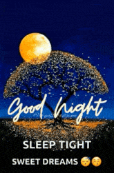 Moonlight Good Night Images GIF