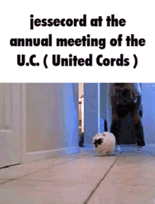 United Cords Alliegience GIF - United Cords Alliegience Jesse Cord GIFs