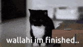 Wallahi Im Finished Uni Cat GIF