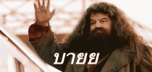 บายย บ๊ายบาย GIF - Hagrid Byebye Goodbye GIFs