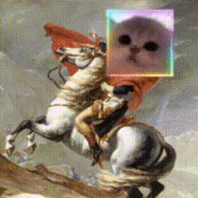 a man is riding a horse with a cat on his head