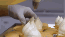 a close up of a person decorating a cake with whipped cream